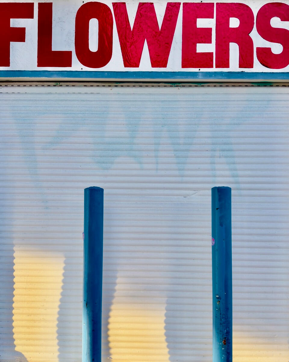 Punk Flowers