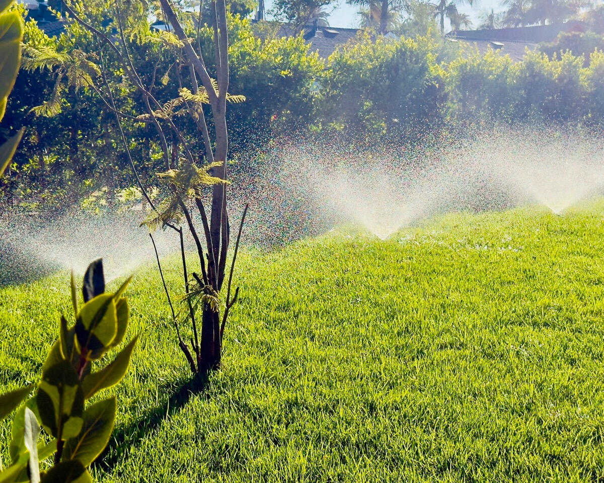 Sprinklers